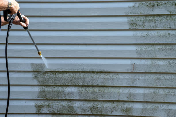 Best Hoarding Cleanup  in Waipio Acres, HI